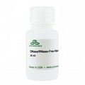 Zymo Research DNase/RNase-Free Water, 30 ml ZW1001-30